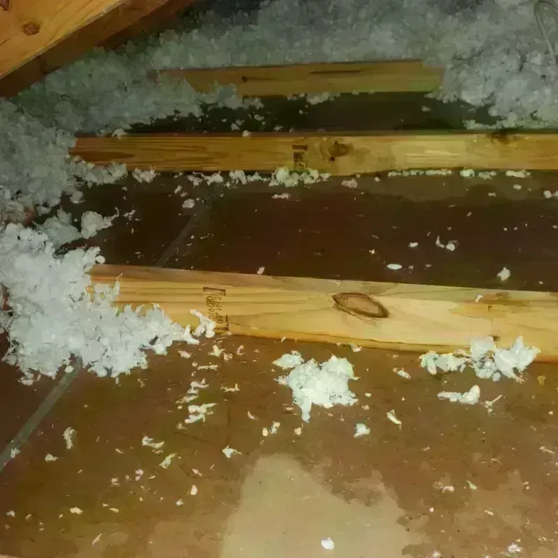 Attic Water Damage in Shannon, MS