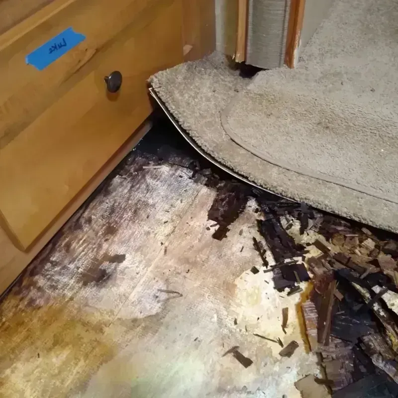 Wood Floor Water Damage in Shannon, MS